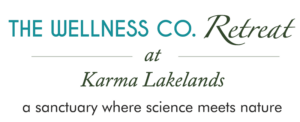 The Wellness Co. Launches India’s First Luxury Integrated Longevity Retreat at Karma Lakelands